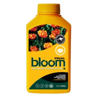 BLOOM Final 1L