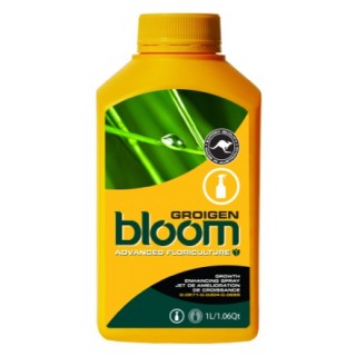 BLOOM Groigen 300ml