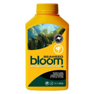 BLOOM Seaweed 300ml