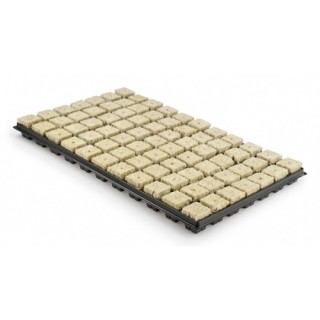 Grodan Tray 77