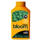 BLOOM Roots 1L