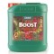 CANNA Boost Accelerator 5 L