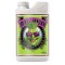 Big Bud Liquid 500ml