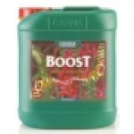 CANNA Boost Accelerator 5 L