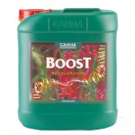 CANNA Boost Accelerator 10 L